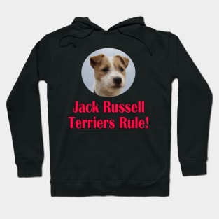 Jack Russell Terriers Rule! Hoodie